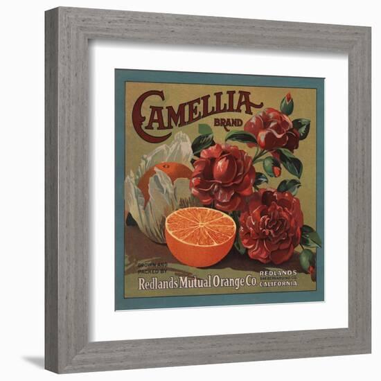 Camelia Brand - Redlands, California - Citrus Crate Label-Lantern Press-Framed Art Print