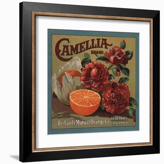 Camelia Brand - Redlands, California - Citrus Crate Label-Lantern Press-Framed Art Print