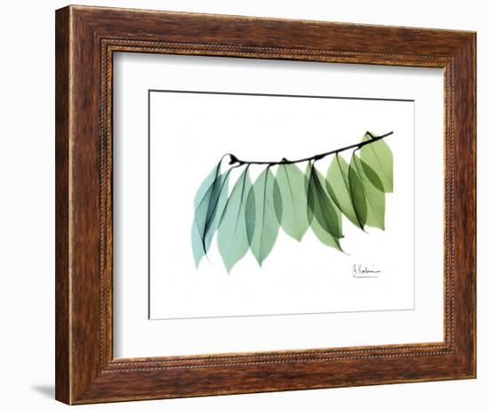 Camelia Leaf Green_Blue-Albert Koetsier-Framed Premium Giclee Print