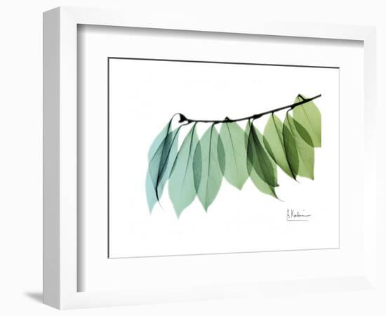 Camelia Leaf Green_Blue-Albert Koetsier-Framed Premium Giclee Print