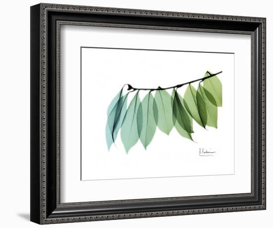 Camelia Leaf Green_Blue-Albert Koetsier-Framed Premium Giclee Print