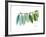 Camelia Leaf Green_Blue-Albert Koetsier-Framed Premium Giclee Print