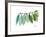 Camelia Leaf Green_Blue-Albert Koetsier-Framed Premium Giclee Print