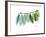 Camelia Leaf Green_Blue-Albert Koetsier-Framed Premium Giclee Print