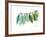 Camelia Leaf Green_Blue-Albert Koetsier-Framed Premium Giclee Print