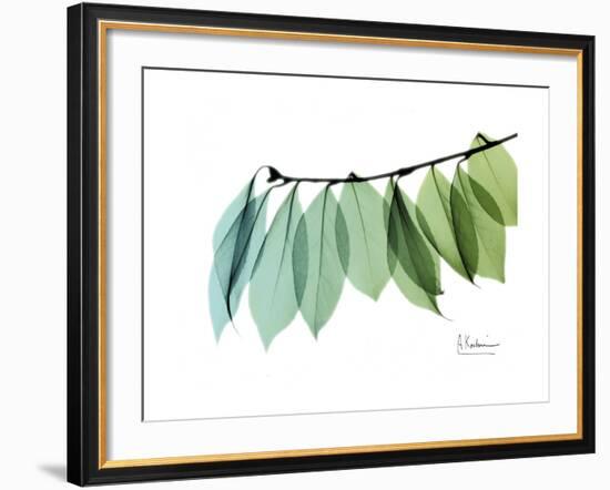 Camelia Leaf Green_Blue-Albert Koetsier-Framed Premium Giclee Print