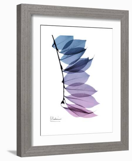 Camelia Leaf in Purp-Albert Koetsier-Framed Premium Giclee Print