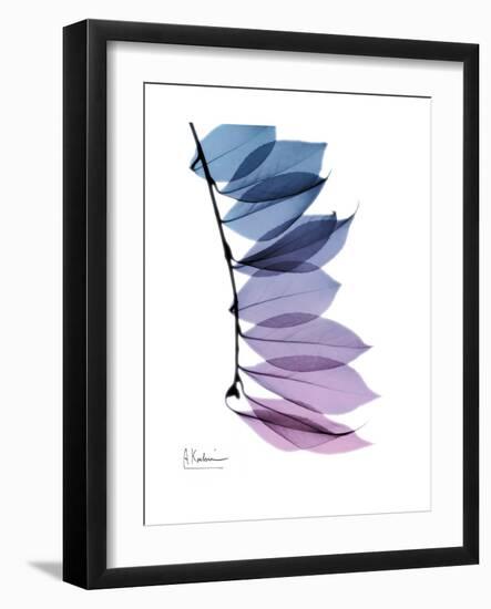 Camelia Leaf in Purp-Albert Koetsier-Framed Premium Giclee Print