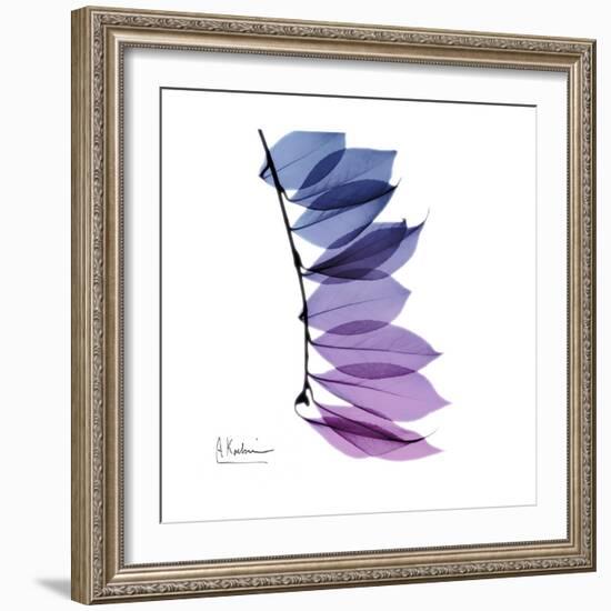 Camelia Leaf in Purp-Albert Koetsier-Framed Art Print