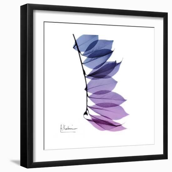 Camelia Leaf in Purp-Albert Koetsier-Framed Art Print