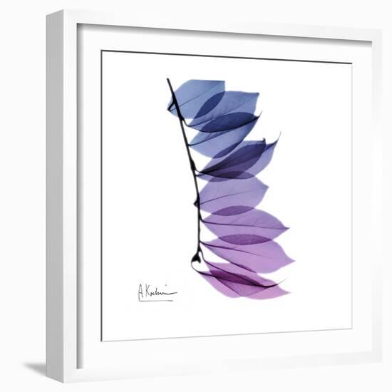 Camelia Leaf in Purp-Albert Koetsier-Framed Art Print