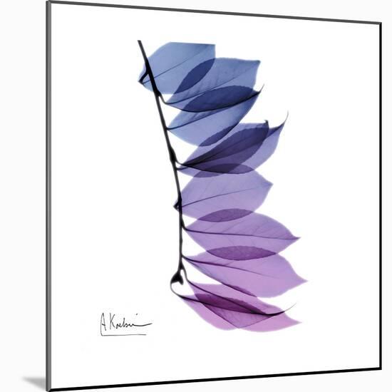 Camelia Leaf in Purp-Albert Koetsier-Mounted Art Print