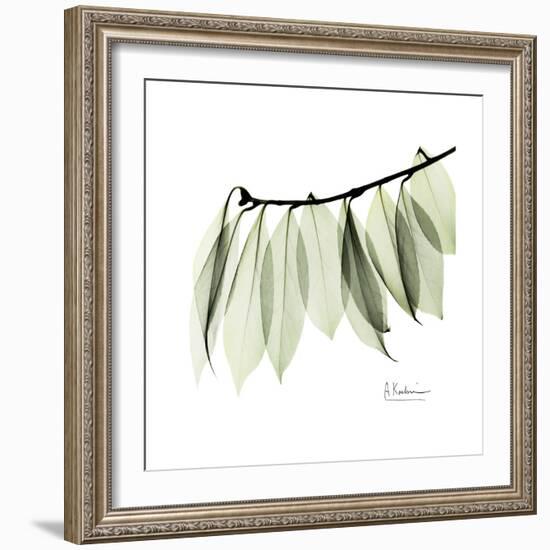 Camelia Leaf In White-Albert Koetsier-Framed Art Print