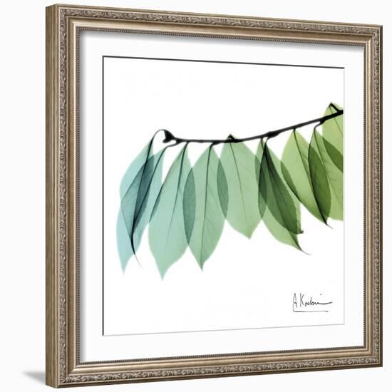 Camelia Leaf-Albert Koetsier-Framed Art Print