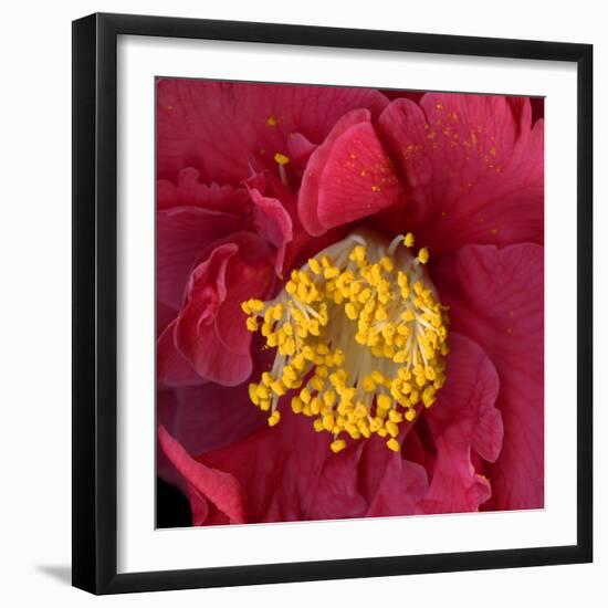 Camelia-Magda Indigo-Framed Photographic Print