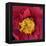 Camelia-Magda Indigo-Framed Premier Image Canvas