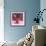 camelia-Magda Indigo-Framed Photographic Print displayed on a wall