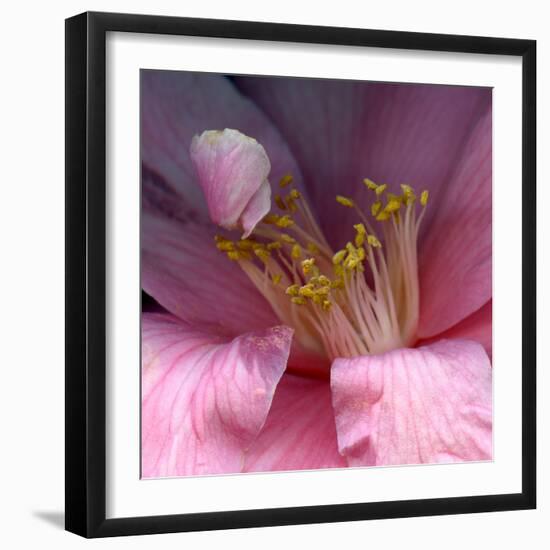 camelia-Magda Indigo-Framed Photographic Print