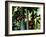 Camellia and Bamboo-null-Framed Photographic Print