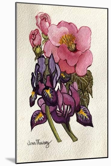 Camellia and Dutch Iris-Joan Thewsey-Mounted Giclee Print