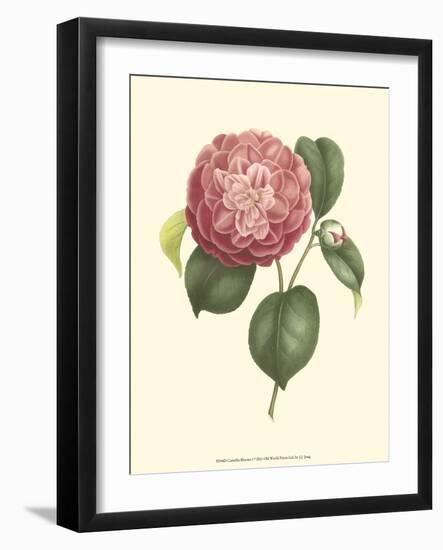 Camellia Blooms I-J^ J^ Jung-Framed Art Print