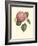 Camellia Blooms I-J^ J^ Jung-Framed Art Print