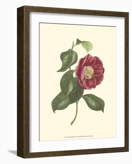 Camellia Blooms II-J^ J^ Jung-Framed Premium Giclee Print