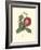 Camellia Blooms II-J^ J^ Jung-Framed Premium Giclee Print