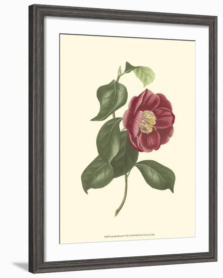 Camellia Blooms II-J^ J^ Jung-Framed Art Print