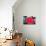 Camellia Flower 2-Erin Berzel-Photographic Print displayed on a wall