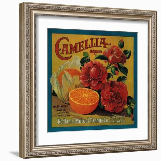 Camellia Orange Label - Redlands, CA-Lantern Press-Framed Art Print