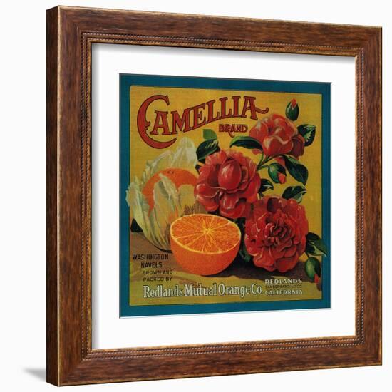 Camellia Orange Label - Redlands, CA-Lantern Press-Framed Art Print