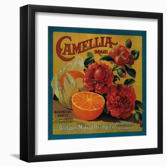 Camellia Orange Label - Redlands, CA-Lantern Press-Framed Art Print