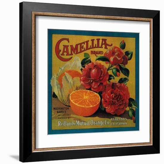 Camellia Orange Label - Redlands, CA-Lantern Press-Framed Art Print