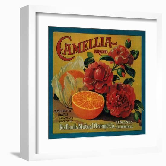 Camellia Orange Label - Redlands, CA-Lantern Press-Framed Art Print