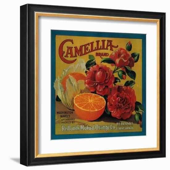 Camellia Orange Label - Redlands, CA-Lantern Press-Framed Art Print