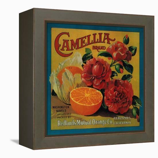 Camellia Orange Label - Redlands, CA-Lantern Press-Framed Stretched Canvas