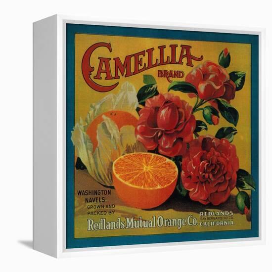 Camellia Orange Label - Redlands, CA-Lantern Press-Framed Stretched Canvas