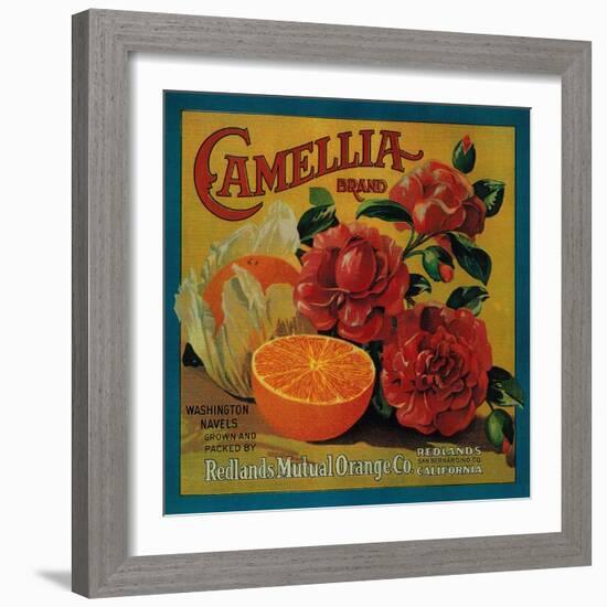 Camellia Orange Label - Redlands, CA-Lantern Press-Framed Art Print