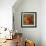 Camellia Orange Label - Redlands, CA-Lantern Press-Framed Art Print displayed on a wall