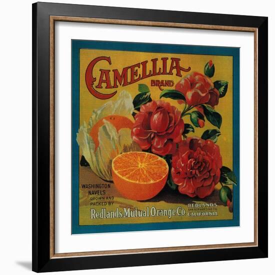 Camellia Orange Label - Redlands, CA-Lantern Press-Framed Art Print