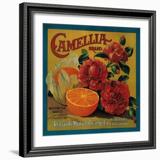 Camellia Orange Label - Redlands, CA-Lantern Press-Framed Art Print