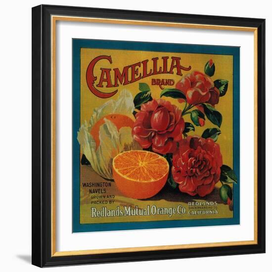 Camellia Orange Label - Redlands, CA-Lantern Press-Framed Art Print