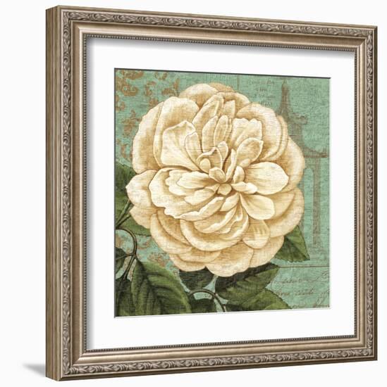 Camellia Study II-Suzanne Nicoll-Framed Art Print