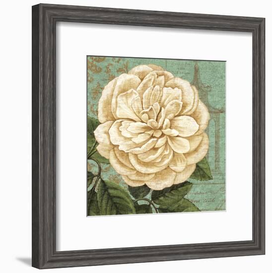 Camellia Study II-Suzanne Nicoll-Framed Art Print