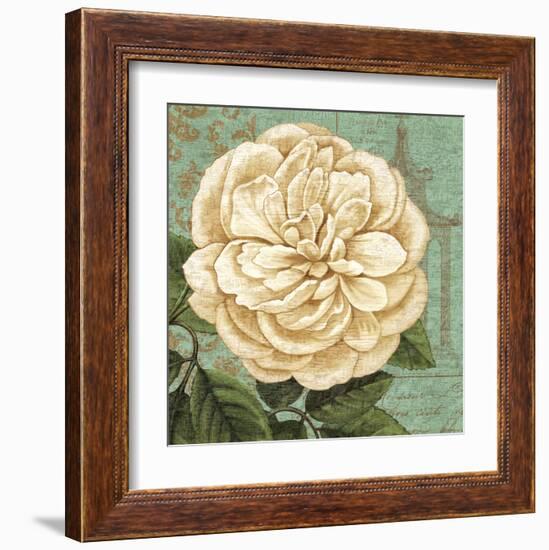 Camellia Study II-Suzanne Nicoll-Framed Art Print