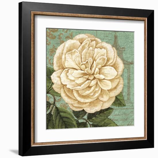 Camellia Study II-Suzanne Nicoll-Framed Art Print