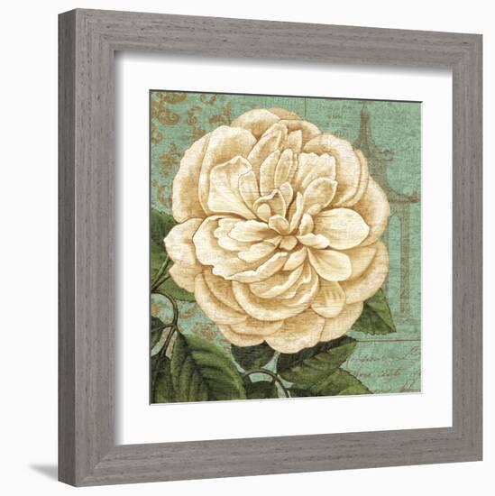 Camellia Study II-Suzanne Nicoll-Framed Art Print