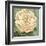 Camellia Study II-Suzanne Nicoll-Framed Art Print