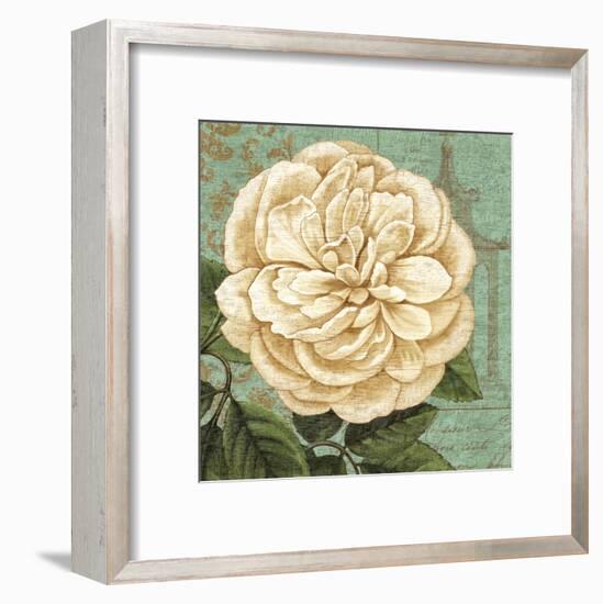 Camellia Study II-Suzanne Nicoll-Framed Art Print